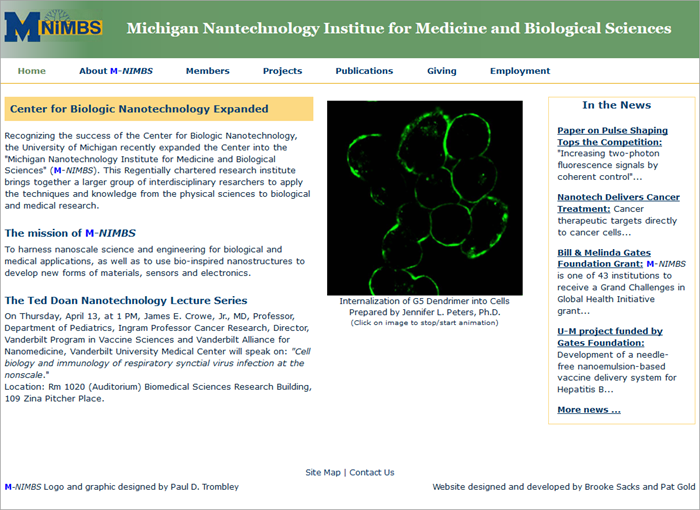 Michigan Nanotechnology Institute