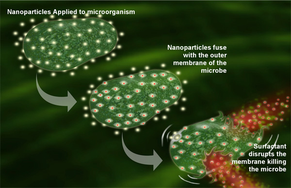 nanoemulsion mechanism of action against microbes