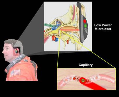 miniaturized flow cytometer inside the capillaries in an astronaut's ear