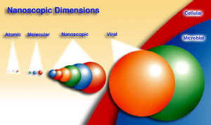 nanoscopic sizes of dendrimers