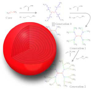 illustration of the composition of a dendrimer