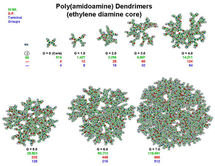 Poly(amidoamine)dendrimers, generations 0 through 7