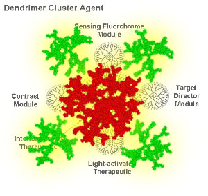 dendrimer cluster agent